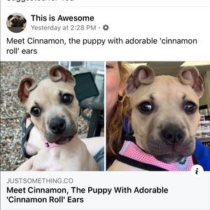 Meet your Posher, Brittney